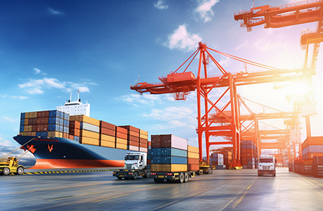 办理进出口许可证需要哪些材料?